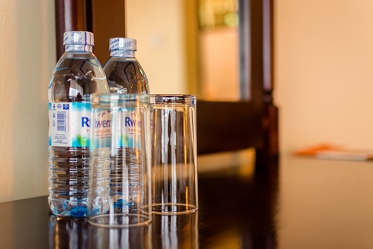 DSC_4908-Edit-2-540x350